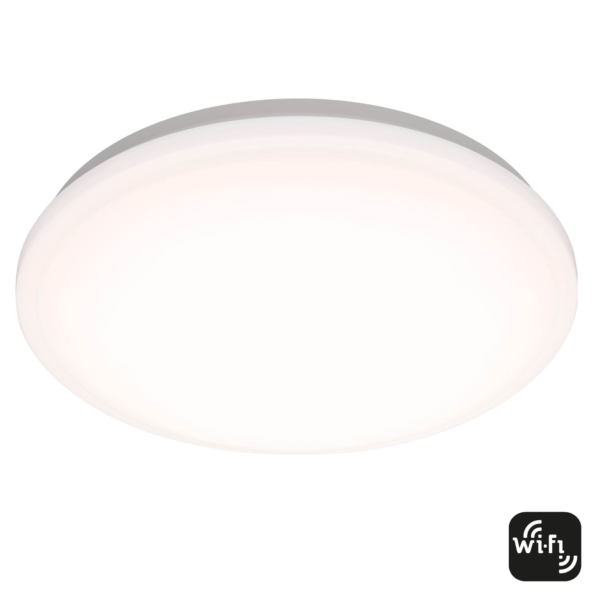 Nikola Ceiling Light image