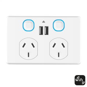 Double Power Point with USB image